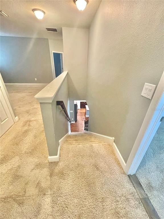21648 Southern Charm Drive - Photo 55