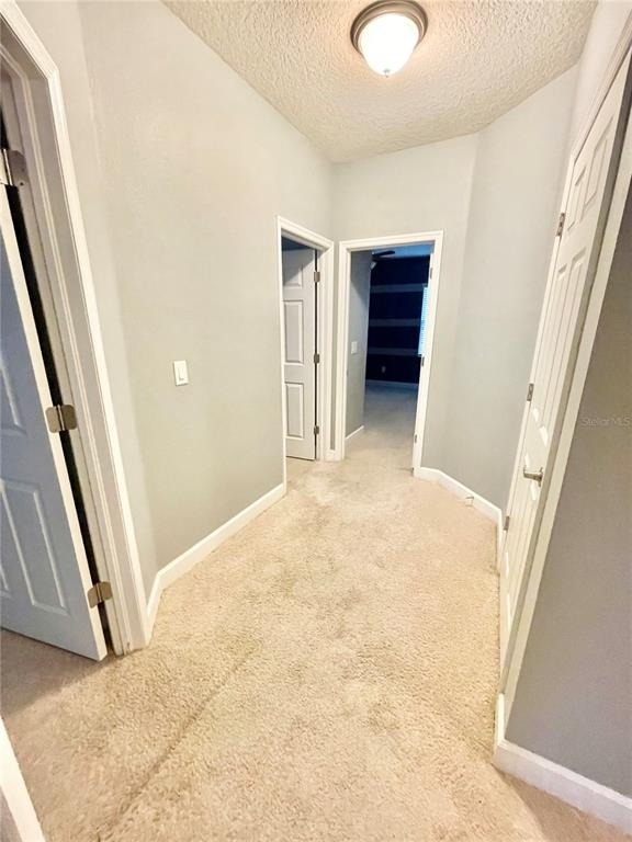 21648 Southern Charm Drive - Photo 9