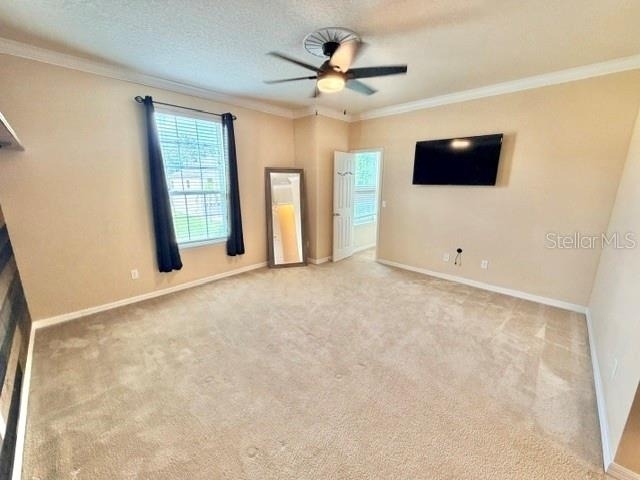 2103 Candlenut Circle - Photo 21