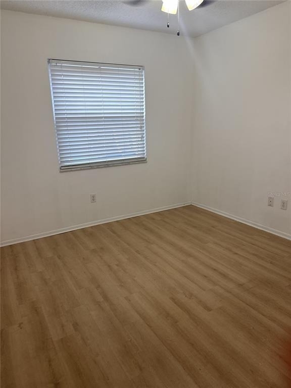 247 Grove Street - Photo 4