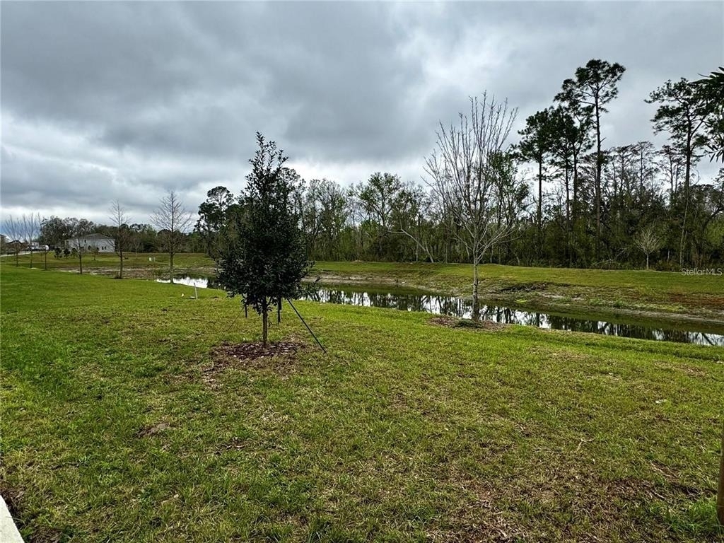 3037 Canary Avenue - Photo 26