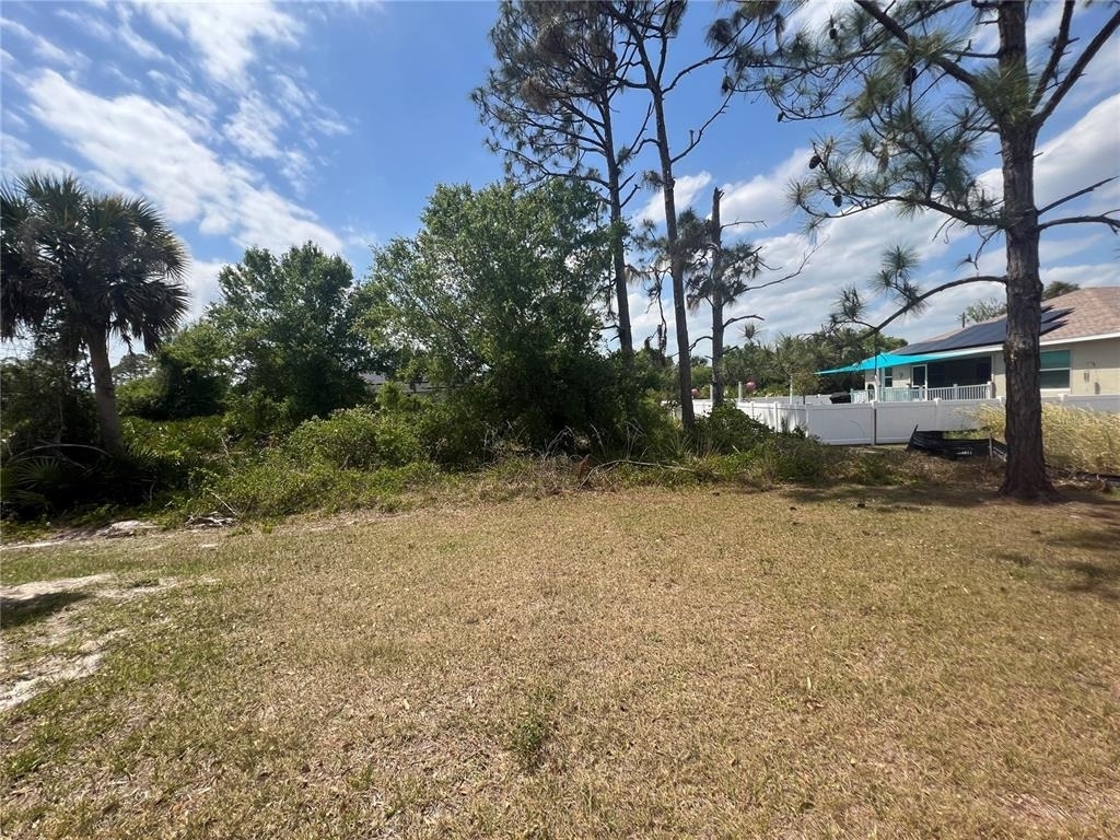 354 Albatross Road - Photo 29
