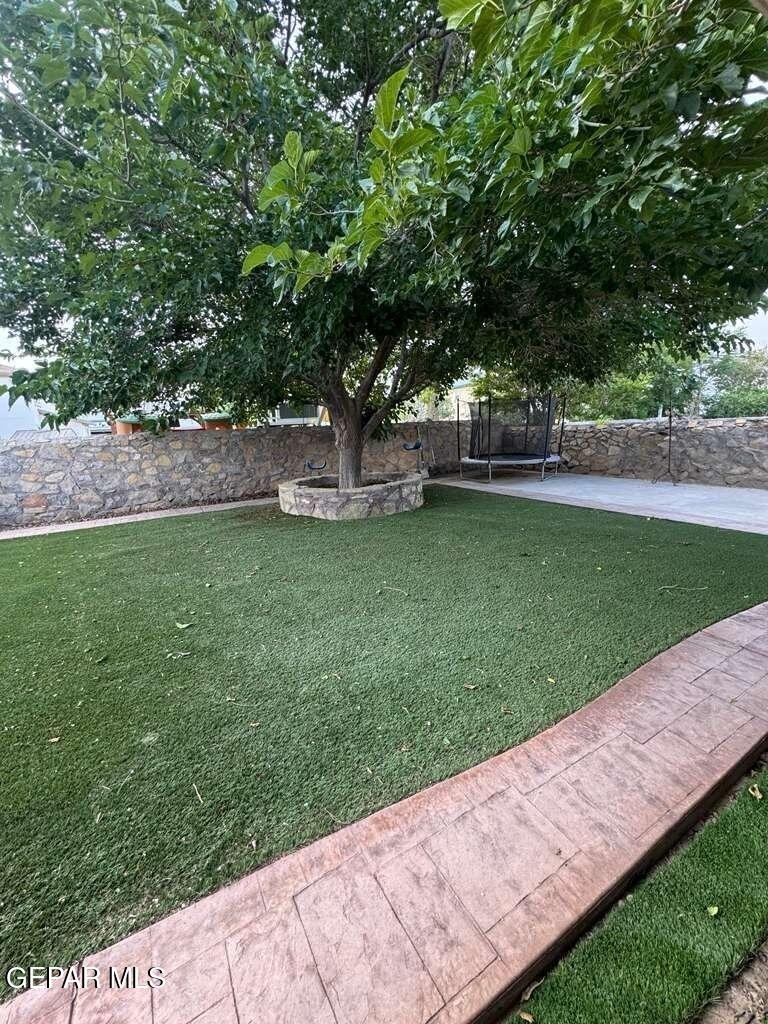 3033 Tierra Humeda Drive - Photo 12