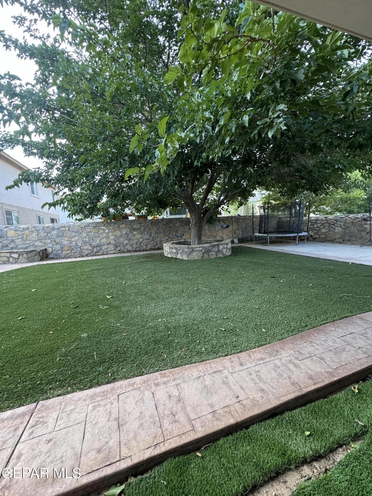 3033 Tierra Humeda Drive - Photo 32
