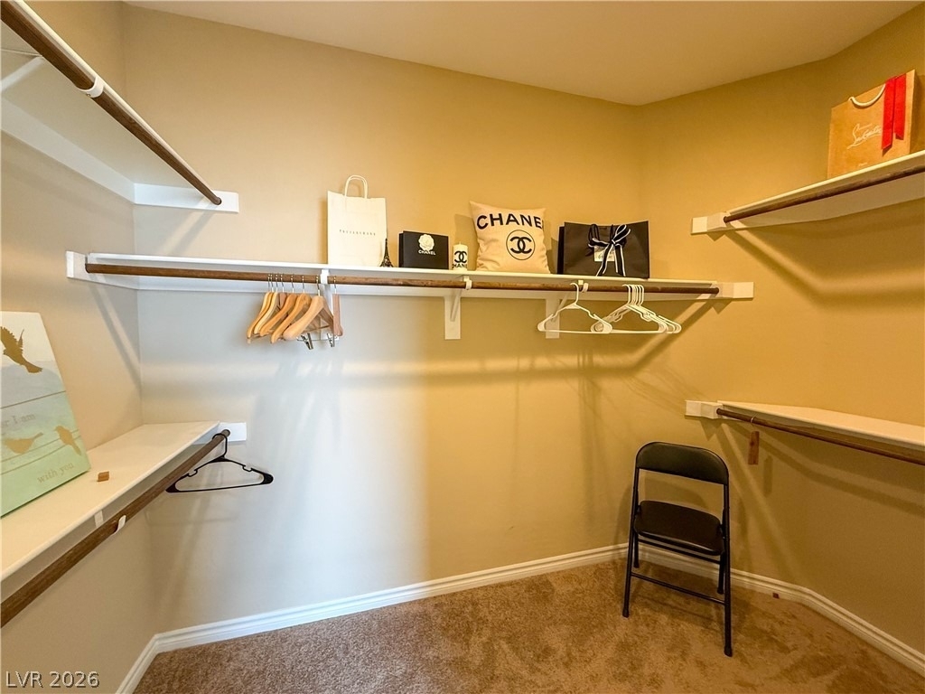 7276 White Bloom Avenue - Photo 40