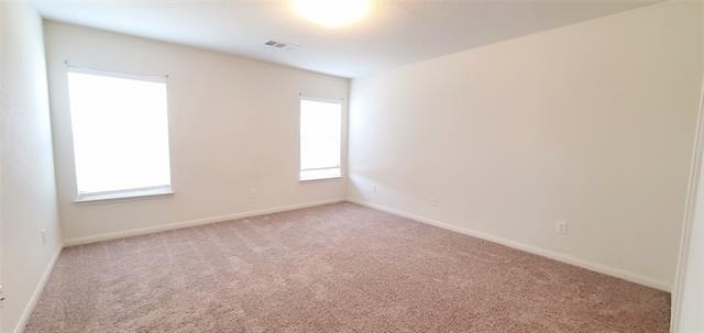 1314 Shumard Drive - Photo 4