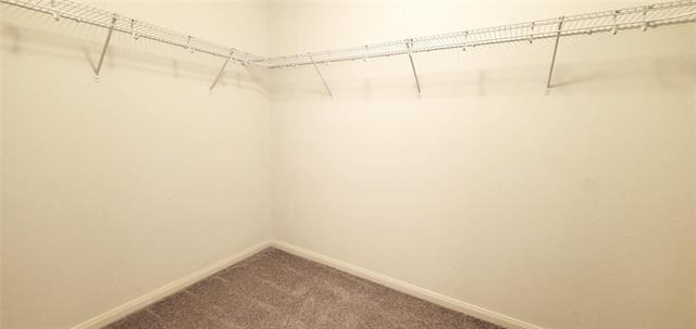 1314 Shumard Drive - Photo 10