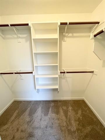 2705 Lumina Drive - Photo 11