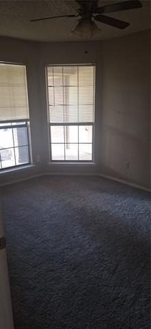 802 Crystal Creek Lane - Photo 16