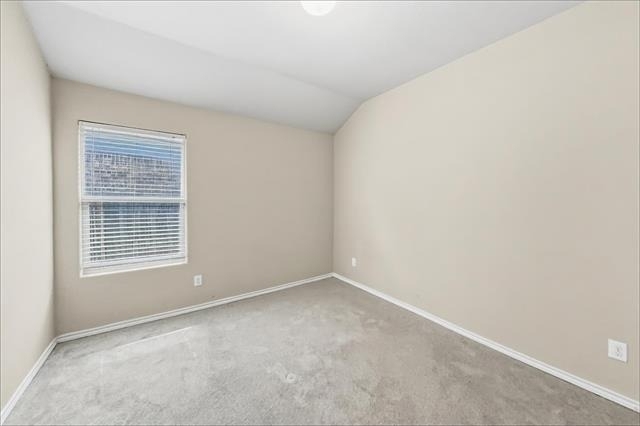 1236 Freestone Court - Photo 17