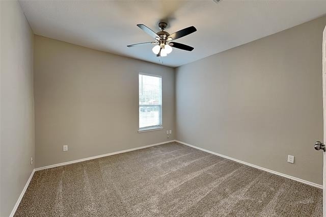 7908 Swan Park Drive - Photo 13