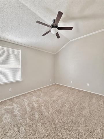 507 Thunder Trail - Photo 11