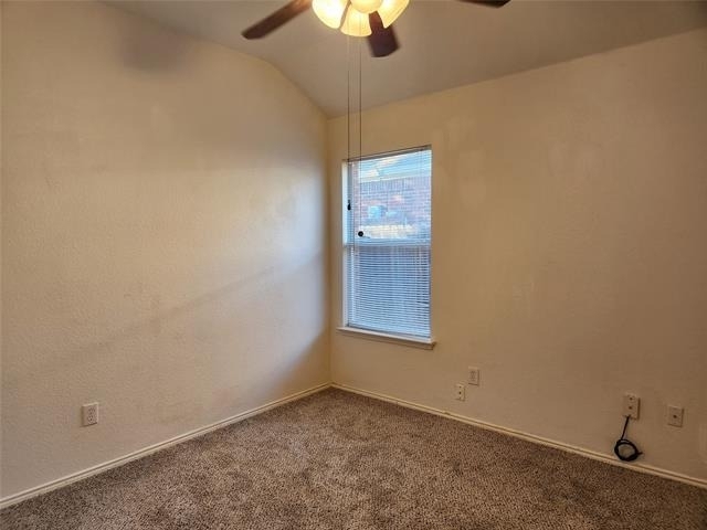 3913 Chimney Rock Drive - Photo 13