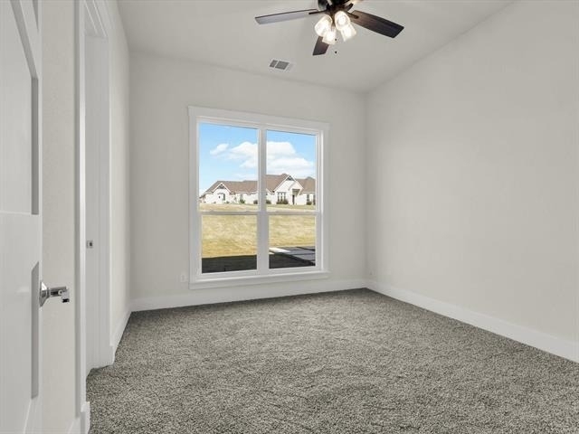 12409 Bella Perdono Drive - Photo 14