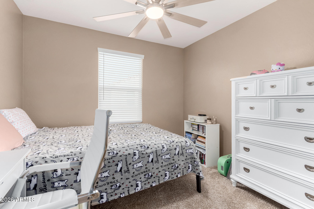 29380 N 122nd Glen - Photo 29