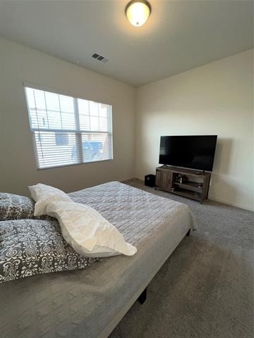 1725 Escondido Drive - Photo 16