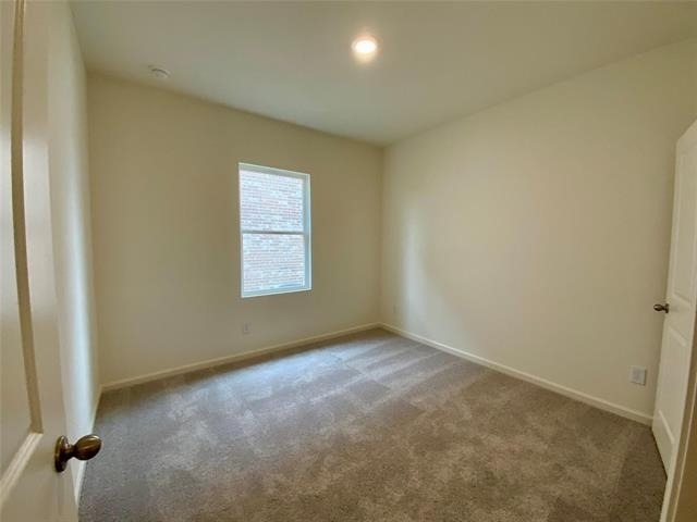 8248 Muscovy Drive - Photo 11