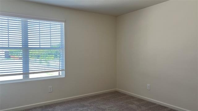 702 Camden Drive - Photo 22