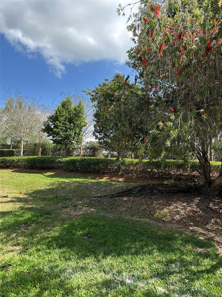 310 Racquet Club Road - Photo 5