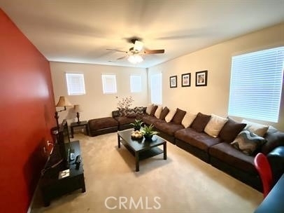29353 Fall River - Photo 13