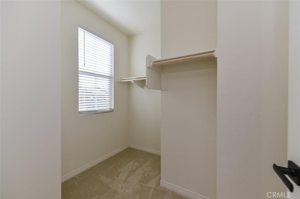 117 Halo - Photo 16