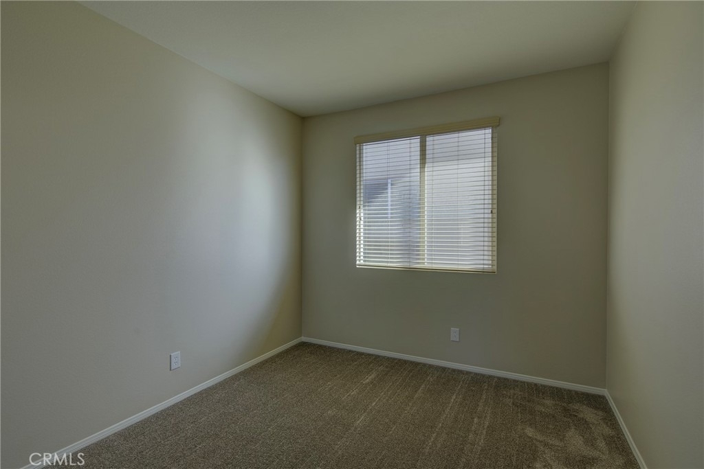 32018 Merano Street - Photo 15