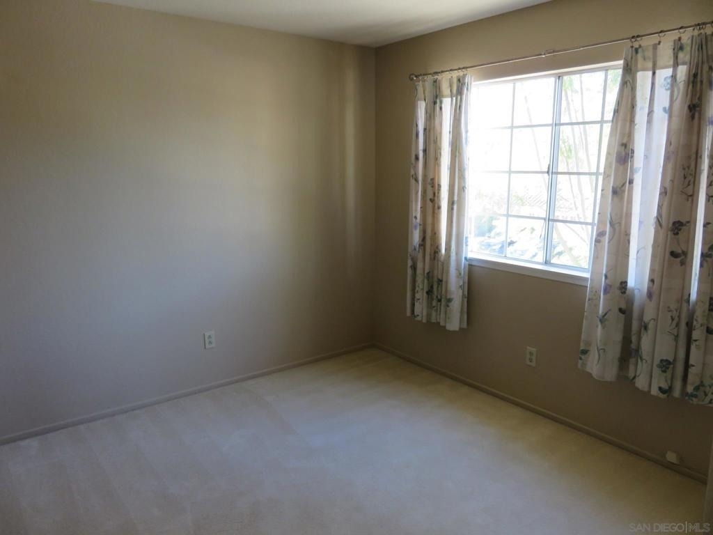 10884 Corte Playa Solana - Photo 28