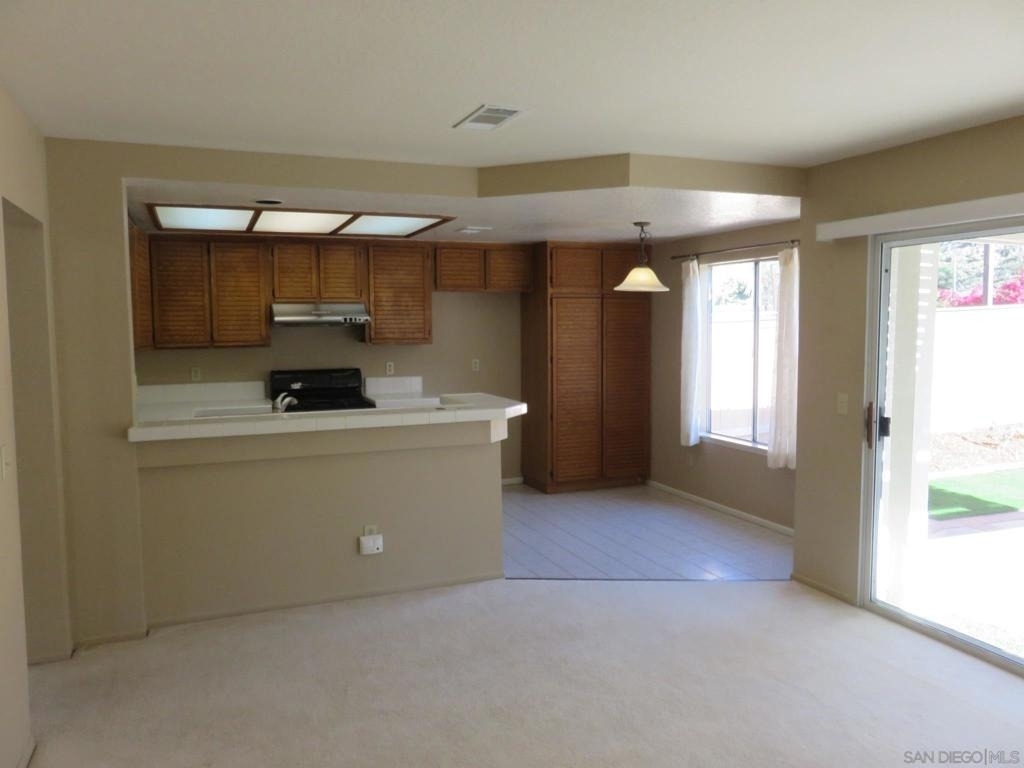 10884 Corte Playa Solana - Photo 14