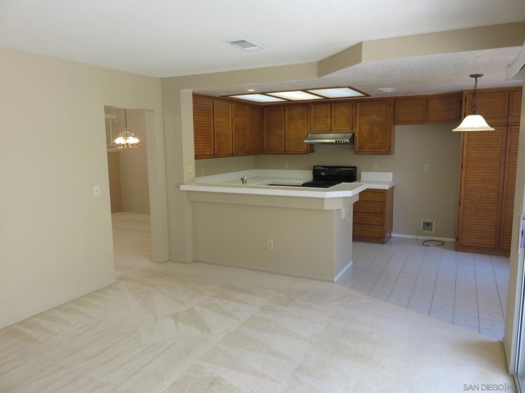 10884 Corte Playa Solana - Photo 15