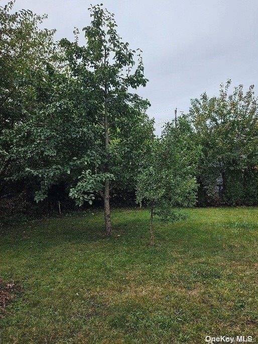 806 Oliver Avenue - Photo 14