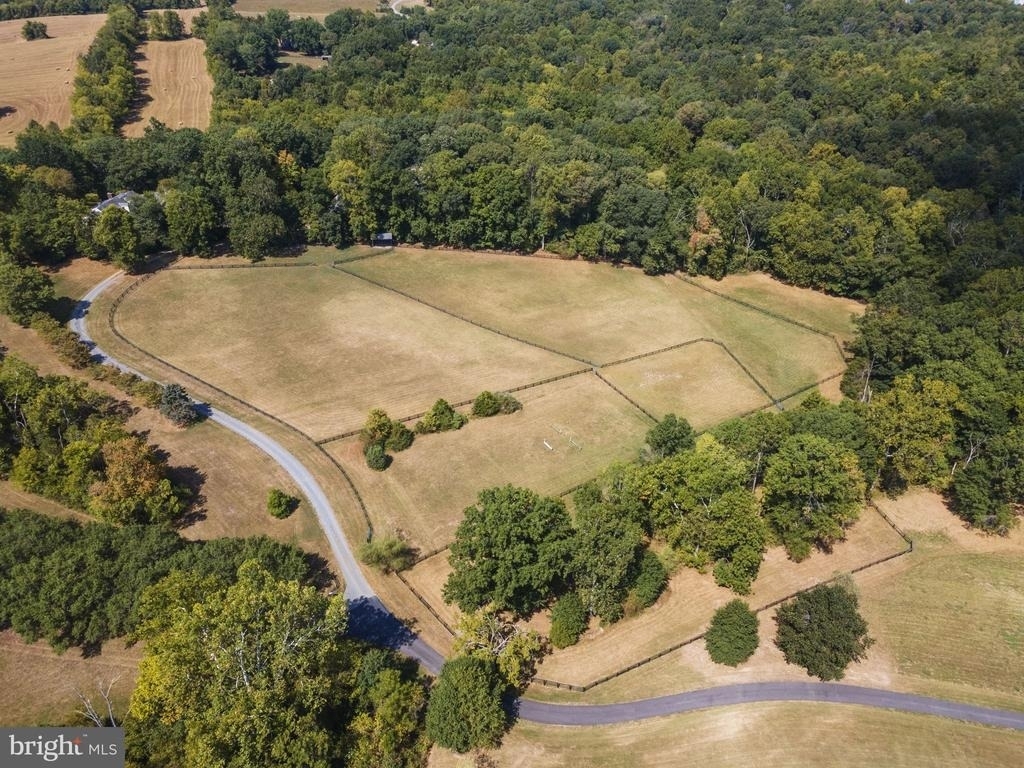 12780 Chatter Brook Drive - Photo 54