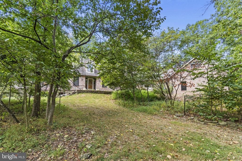 12780 Chatter Brook Drive - Photo 4