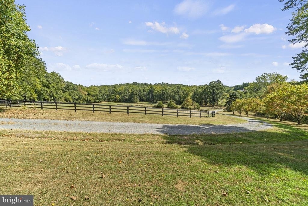 12780 Chatter Brook Drive - Photo 49