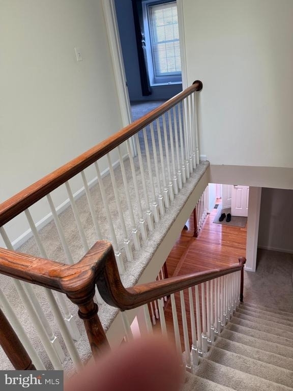 4637 Luxberry Drive - Photo 17