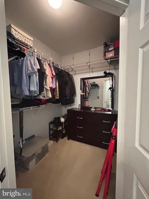 4561 Strutfield Lane - Photo 15