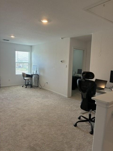 233 Perfect World Loop - Photo 11