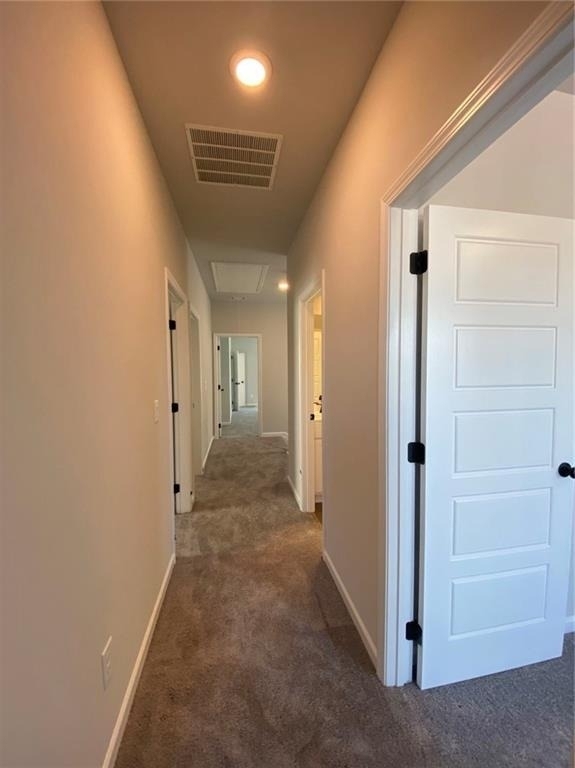5037 Silver Fox Trail - Photo 32
