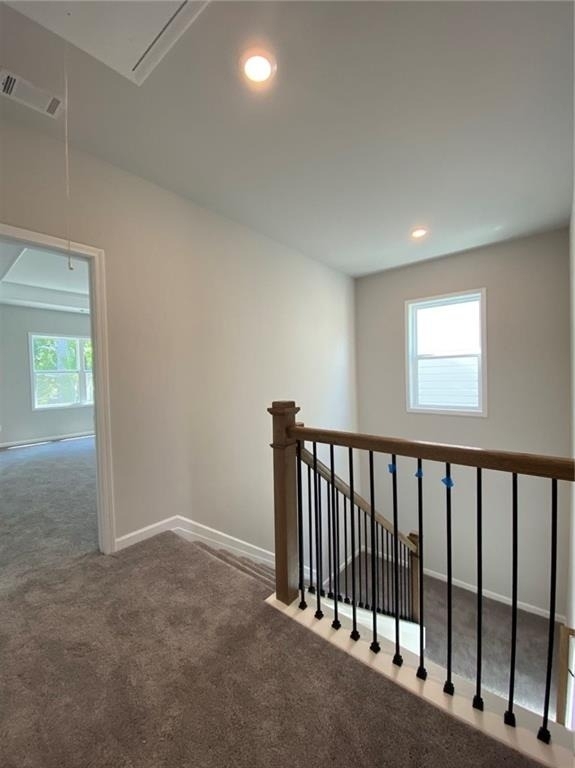 5037 Silver Fox Trail - Photo 13