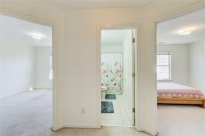 1236 Wetlands Court - Photo 14