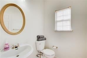 1236 Wetlands Court - Photo 9