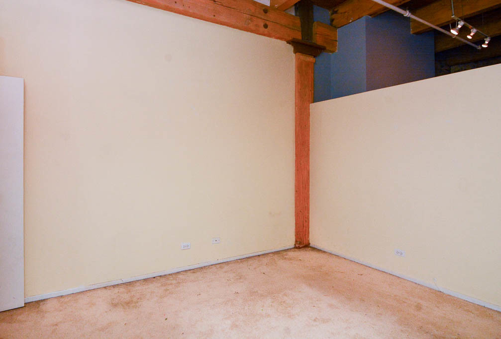 375 W Erie Street - Photo 11