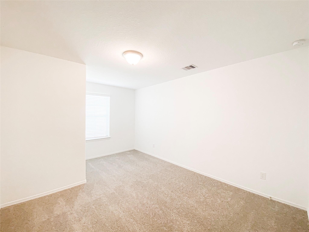 23123 True Fortune Drive - Photo 22