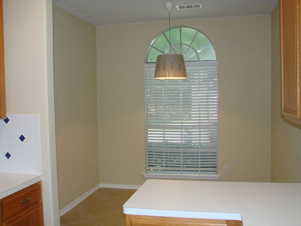2910 Blue Dawn Drive - Photo 10