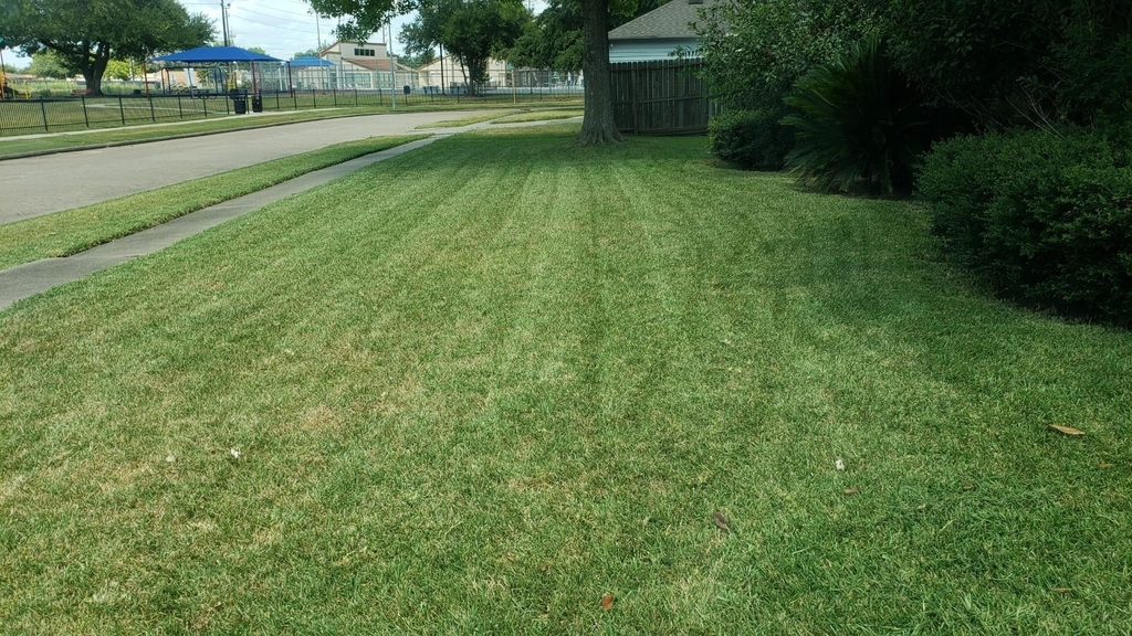15526 Rio Plaza Drive - Photo 3