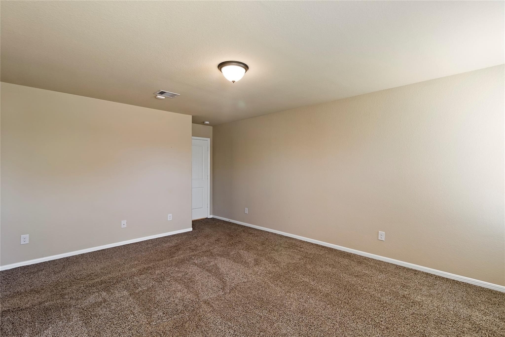 29102 Jacobs River Drive - Photo 9