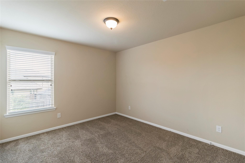 29102 Jacobs River Drive - Photo 19