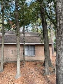 12314 Wild Pine Drive - Photo 13