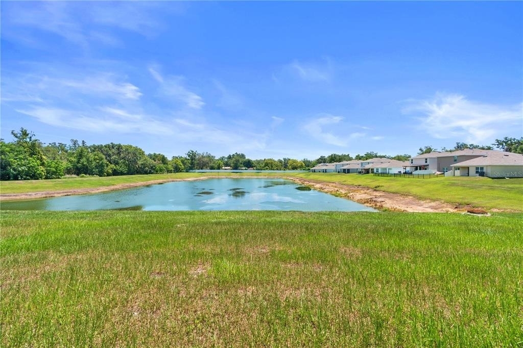 13576 Whiskey Daisy Drive - Photo 29