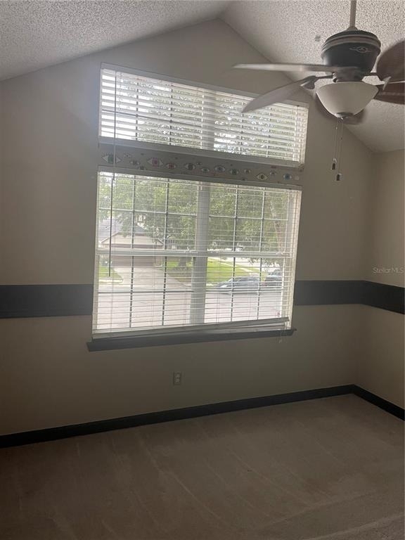 9828 Bubbling Brook Court - Photo 13