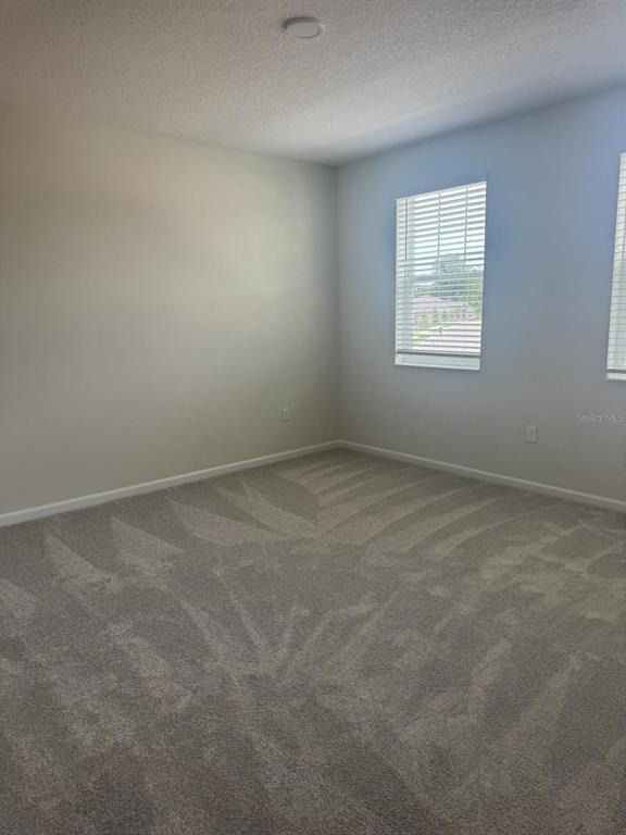 564 Pothos Street - Photo 10